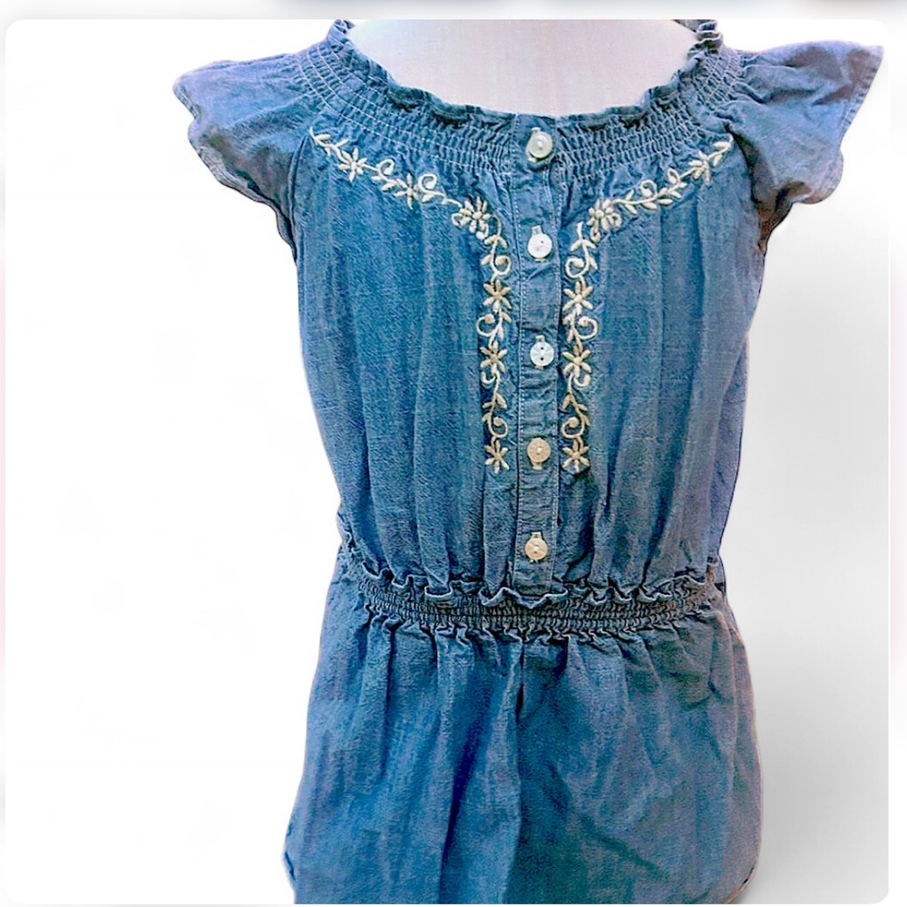 Ralph Lauren Toddler Girls Denim Chambray Jean Dress Western Floral Embroidery